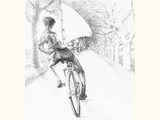 Das Fahrradsegel